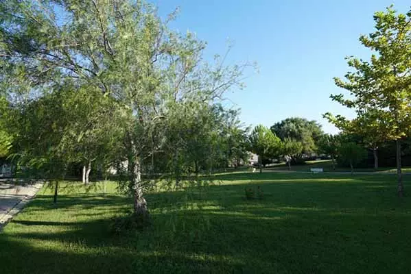 هتل پالم وینگز بیچ دیدیم